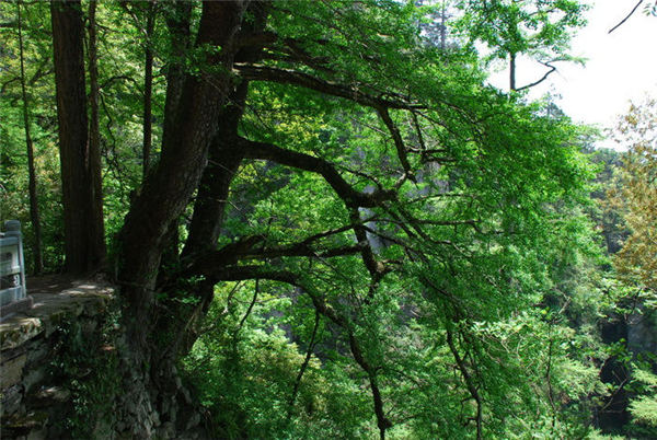 ��Դ�o������ǧ��Ř�